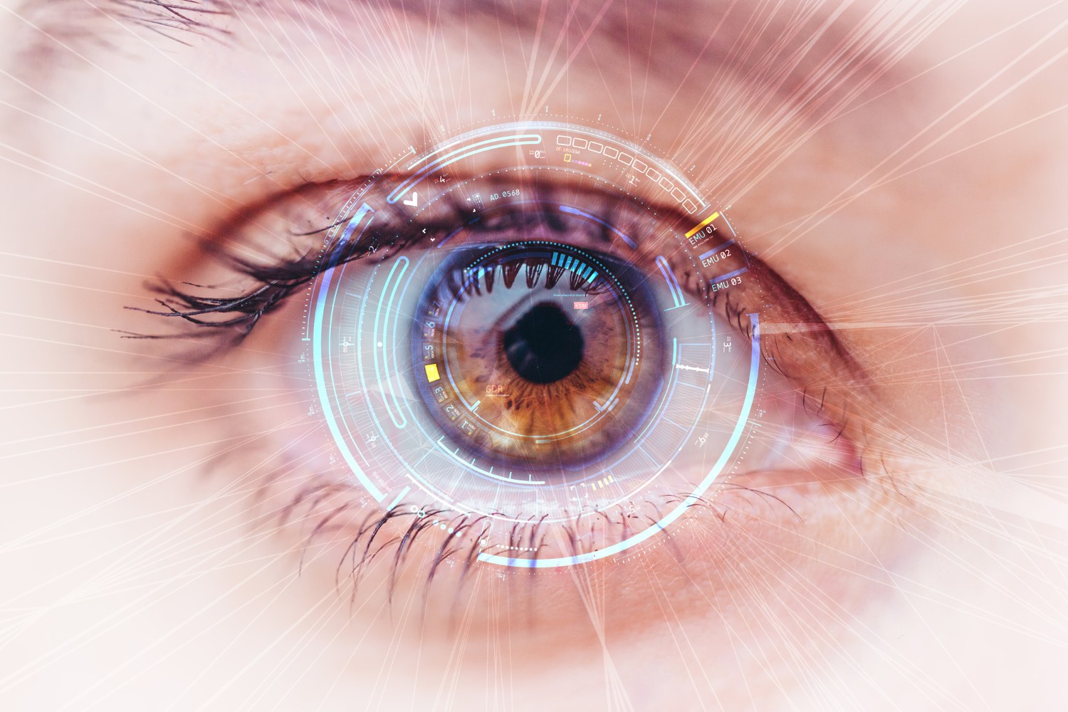 Can the Retina Repair Itself? Myths, Facts, and Medical Opinions